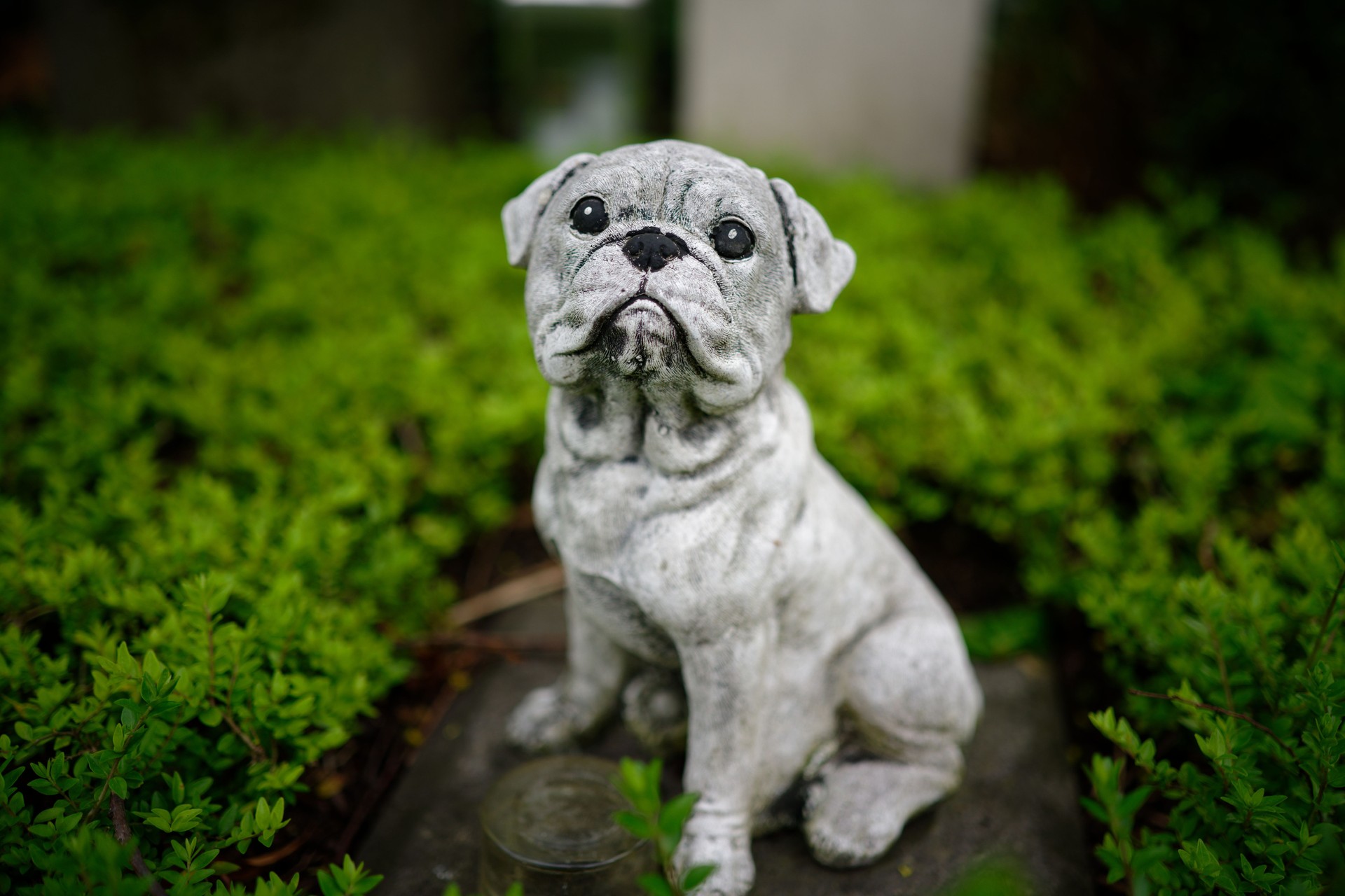 dog figure bravely guarding a grave